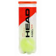 М'яч для падел-тенісу HEAD Padel Team 3шт салатовий