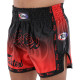 Шорти для тайського боксу та кікбоксингу FAIRTEX S-XL кольори в асортименті