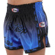 Шорти для тайського боксу та кікбоксингу FAIRTEX S-XL кольори в асортименті