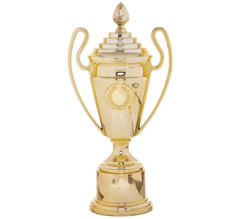 Кубок спортивний нагородний SP-Sport Favourite висота 35см золотий