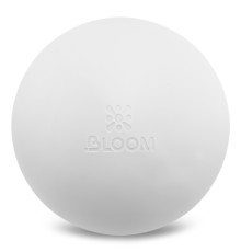 М'яч для пілатесу та йоги BLOOM PREMIUM PILATES BALL 20см кольори в асортименті