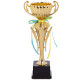 Кубок спортивний нагородний SP-Sport Best висота 31см золотий