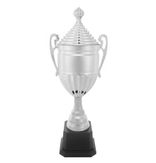 Кубок спортивний нагородний SP-Sport Stately висота 49см кольори в асортименті