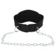 Пояс атлетичний для обтяження текстильний з ланцюгом та карабіном EZOUS DIP BELT спинка-16см чорний