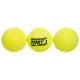 М'ячі для великого тенісу DUNLOP FORT TOURNAMENT SELECT 3шт салатовий