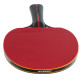 Ракетка для настільного тенісу DUNLOP BLACKSTORM SPIN