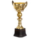 Кубок спортивний нагородний SP-Sport Rigidity SP-Sport висота 42см золотий