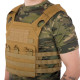 Плитоноска для бронепластин із системою MOLLE Military Rangers кольори в асортименті