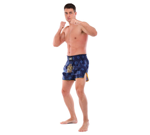 Шорти для тайського боксу та кікбоксингу FAIRTEX S-XL кольори в асортименті