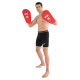 Лапа боксерська пряма подовжена тренувальна Кожвініл BOXER NEW 40х21х4,5см 2штуки кольори в асортименті