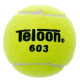 М'ячі для великого тенісу TELOON Feng-603 60шт салатовий