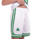 Форма баскетбольна дитяча NBA клуб Boston Celtics 11 S-2XL кольори в асортименті