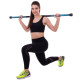Бодибар Body Bar Zelart вес 4кг черный-голубой