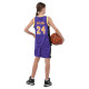 Форма баскетбольная детская NBA клуб Los Angeles Lakers 24 S-2XL фиолетовый-желтый