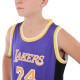 Форма баскетбольная детская NBA клуб Los Angeles Lakers 24 S-2XL фиолетовый-желтый