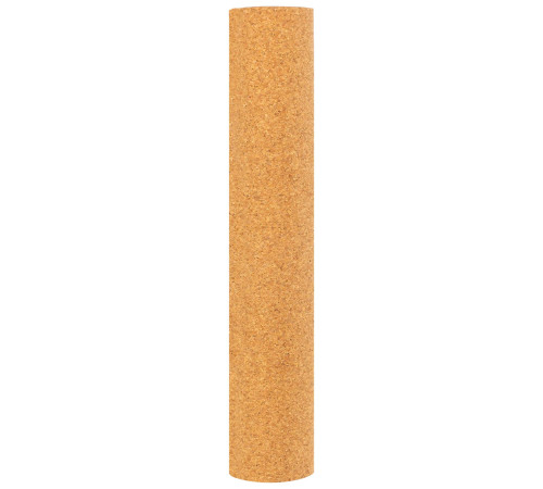 Килимок для йоги Пробковий каучуковий двошаровий Yoga mat Record 183x61мx0.4cм з принтом Хамса коричневий