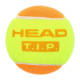М'ячі для великого тенісу HEAD TIP ORANGE 3шт помаранчевий-салатовий