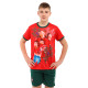 Форма футбольная детская RONALDO 7 SP-Sport 20-30 красный-зеленый