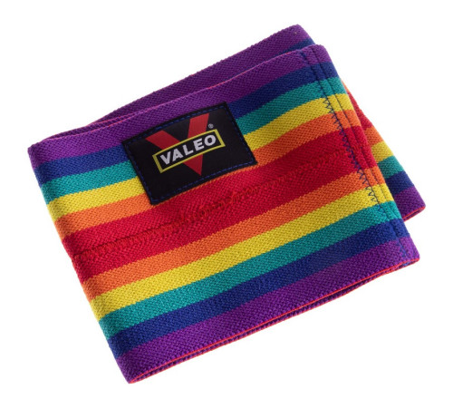 Слінгшот для жиму лежачи BENCH PRESS BAND SLING SHOT VALEO кольори в асортименті