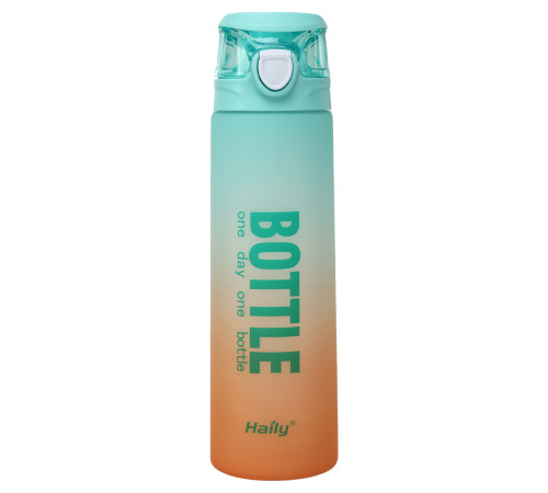 Бутылка для воды HAILY BOTTLE 1000мл цвета в ассортименте