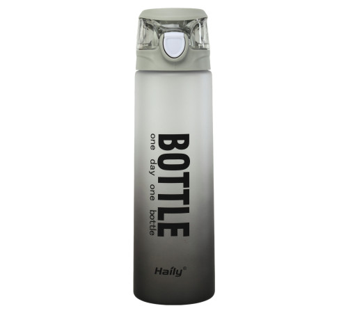 Бутылка для воды HAILY BOTTLE 1000мл цвета в ассортименте