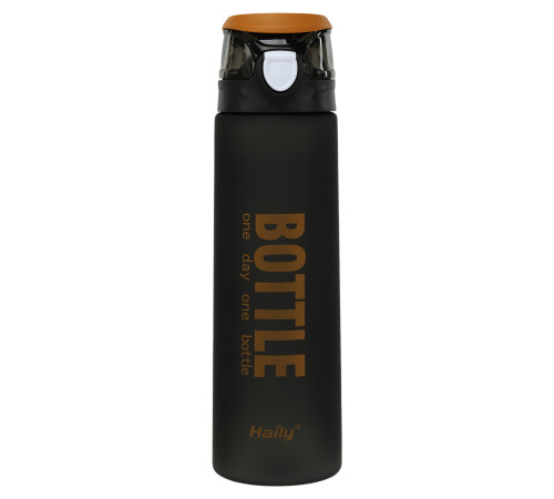 Бутылка для воды HAILY BOTTLE 1000мл цвета в ассортименте