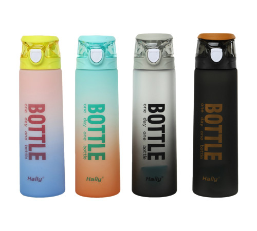Бутылка для воды HAILY BOTTLE 1000мл цвета в ассортименте