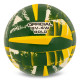 М'яч волейбольний BALLONSTAR SV-4W GOLD №5 PU зелений-жовтий