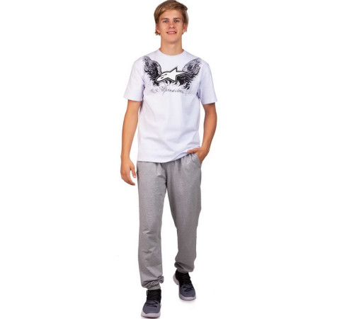 Футболка чоловіча ALPINESTARS SORE S-XL кольори в асортименті