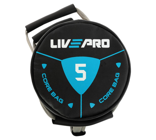Мішок обтяжувач для функціонального тренінгу Power Bag LiveUp 5кг чорний-сірий