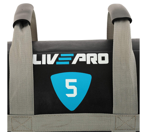 Мішок обтяжувач для функціонального тренінгу Power Bag LiveUp 5кг чорний-сірий