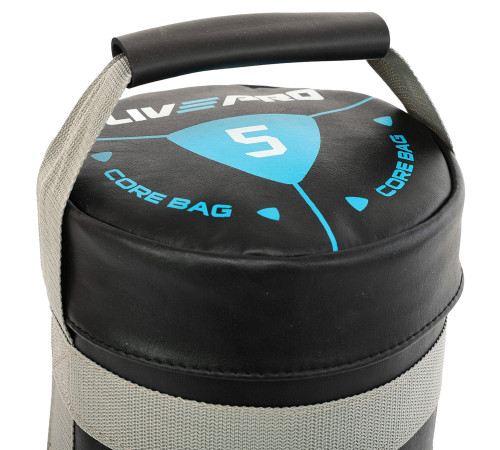 Мішок обтяжувач для функціонального тренінгу Power Bag LiveUp 5кг чорний-сірий