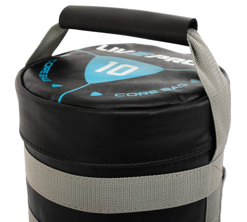 Мешок утяжелитель для функционального тренинга Power Bag LiveUp 10кг черный-серый