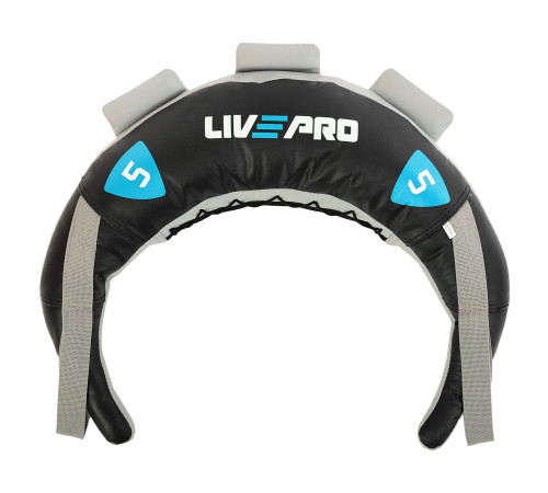 Мішок Болгарський Bulgarian bag LiveUp 5кг чорний-синій