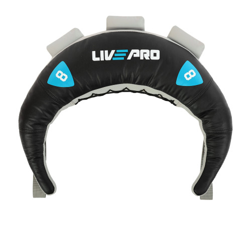 Мешок Болгарский Bulgarian bag LiveUp 8кг черный-синий