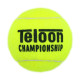Мячи для большого тенниса TELOON CHAMPIONSHIP T606P3 3шт салатовый