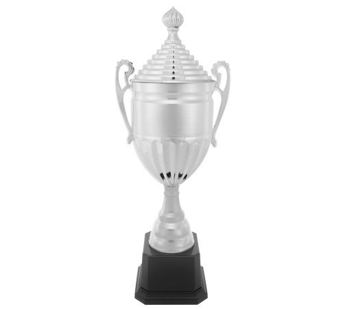 Кубок спортивний нагородний SP-Sport Stately висота 49см кольори в асортименті