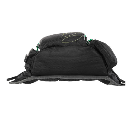Сумка-бананка поясна та через плече TAICHI 5л кольори в асортименті