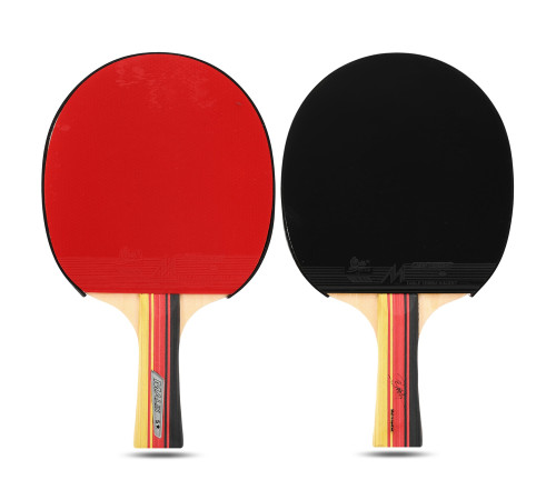 Ракетка для настільного тенісу в чохлі MALIN RACKET 5star