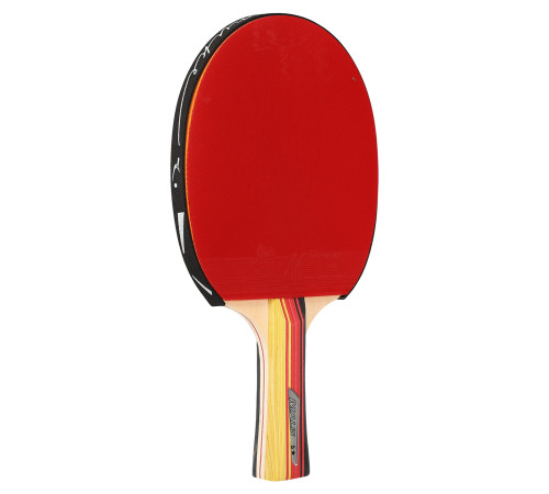 Ракетка для настільного тенісу в чохлі MALIN RACKET 5star