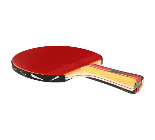 Ракетка для настільного тенісу в чохлі MALIN RACKET 5star