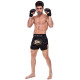 Шорти для тайського боксу та кікбоксингу FAIRTEX BLACK/YELLOW S-XL чорний-жовтий