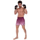 Шорти для тайського боксу та кікбоксингу FAIRTEX BLACK/WINE чорний-бордовий