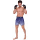 Шорти для тайського боксу та кікбоксингу FAIRTEX BLACK/BLUE чорний-синій