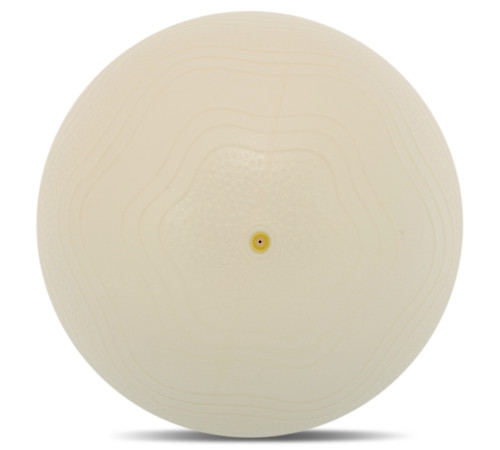 М'яч для пілатесу та йоги BLOOM MINI PILATES BALLl 30см білий