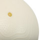 М'яч для пілатесу та йоги BLOOM MINI PILATES BALLl 30см білий