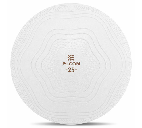 Мяч для пилатеса и йоги BLOOM MINI PILATES BALLl 25см цвета в ассортименте
