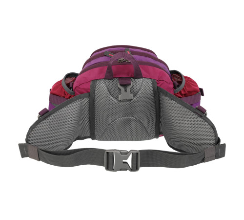 Сумка на пояс спортивна багатофункціональна 3в1 COLOR LIFE WAIST BAG кольори в асортименті