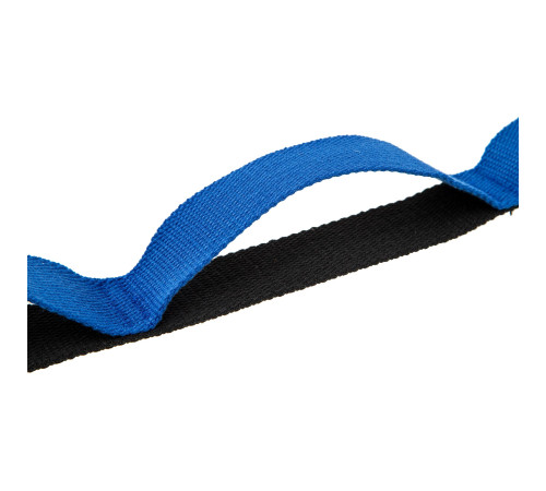Лента стропа с петлями для растяжки Stretch Strap с дверным якорем Record 14 петель черный-синий