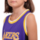 Форма баскетбольна дитяча NBA клуб Los Angeles Lakers 23 S-2XL кольори в асортименті